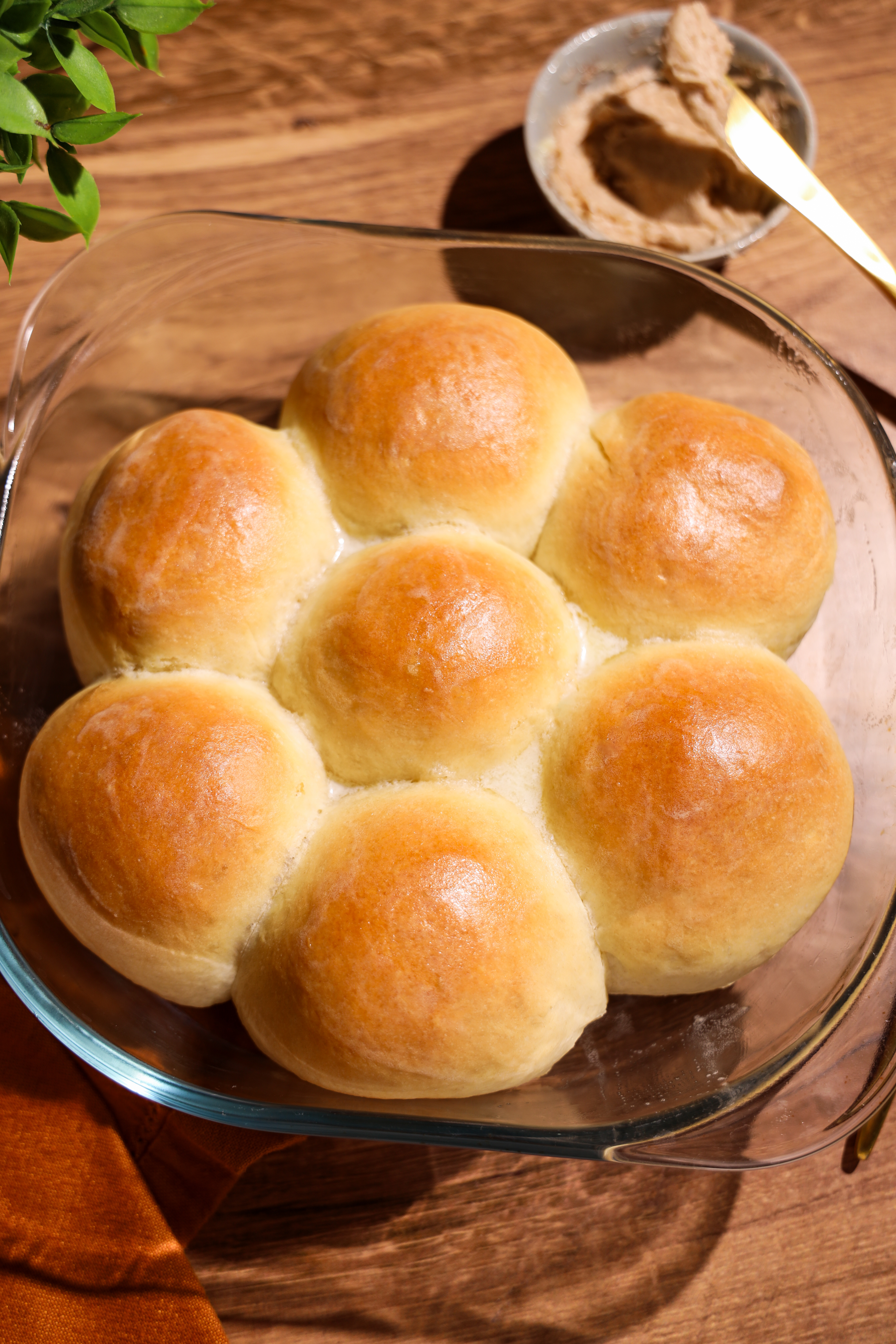 Soft Homemade Dinner Rolls Recipe